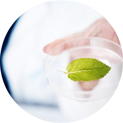 中高密度基因分型 – 液相芯片